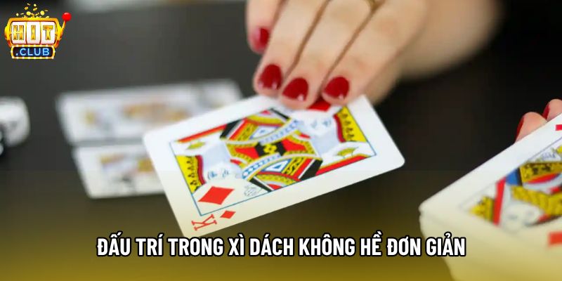 Đấu trí trong xì dách không hề đơn giản