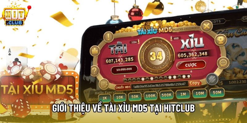 Giới thiệu về tài xỉu MD5 tại Hitclub Giới thiệu về tài xỉu MD5 tại Hitclub